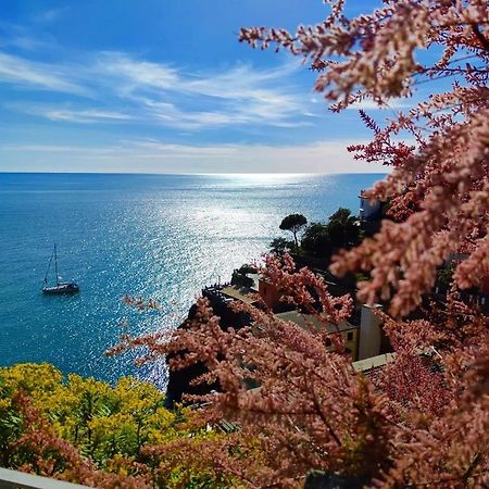 Maison Exotique - Riomaggiore / Cinque Terre / Beach Travel Ngoại thất bức ảnh