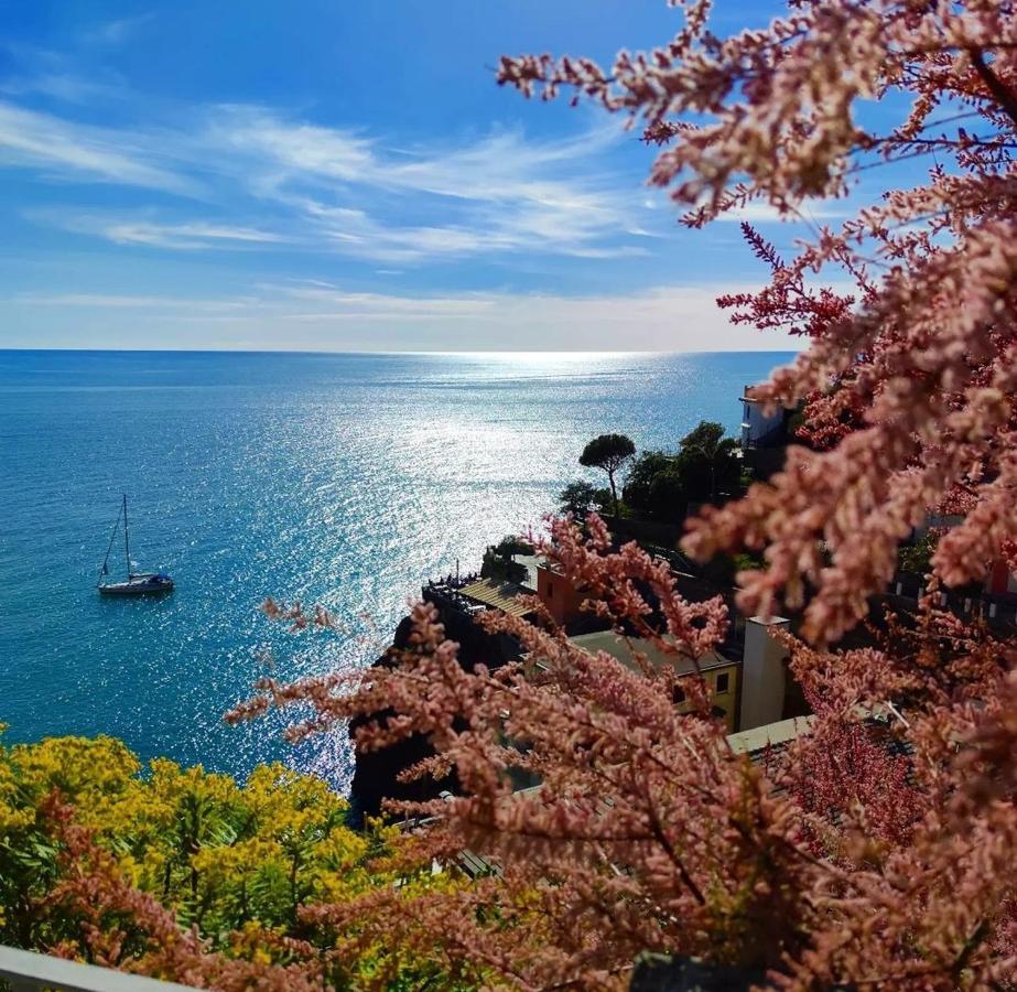 Maison Exotique - Riomaggiore / Cinque Terre / Beach Travel Ngoại thất bức ảnh
